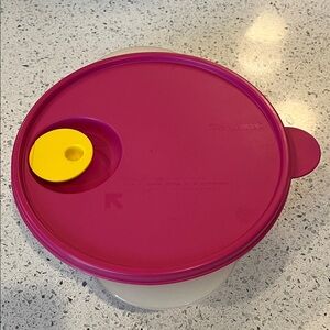 Tupperware Partitioned Storage Container with Pink Crystal Wave Lid